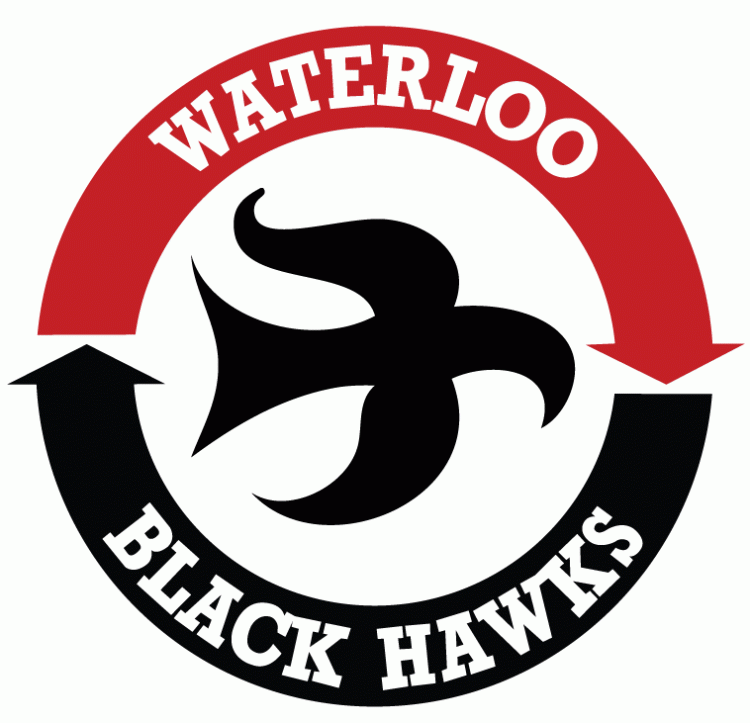 Waterloo Black Hawks 1979 80-2006 07 Primary Logo iron on paper